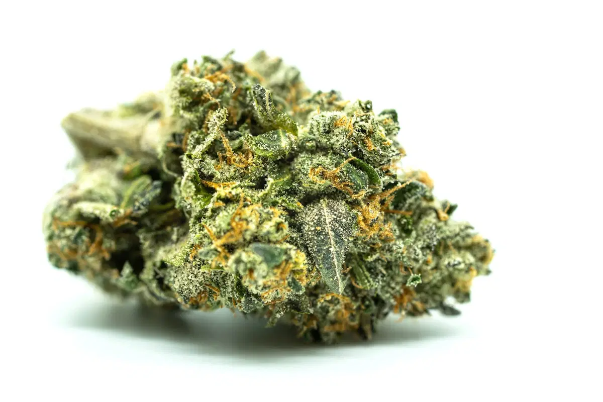 Weed Delivery in Antioch: Fast Cannabis Delivery Service